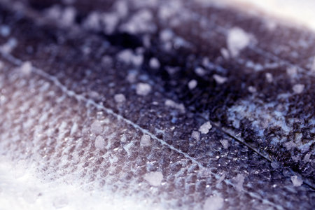 Close Up of Fish Skin and Scales With Sea Salt Abstract Macro Backgroundの写真素材