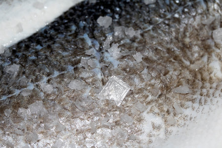 Close Up of Fish Skin and Scales With Sea Salt Abstract Macro Background