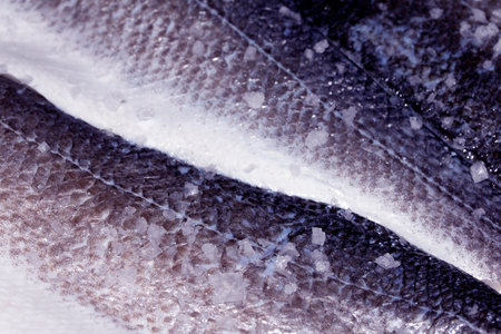 Close Up of Fish Skin and Scales With Sea Salt Abstract Macro Background