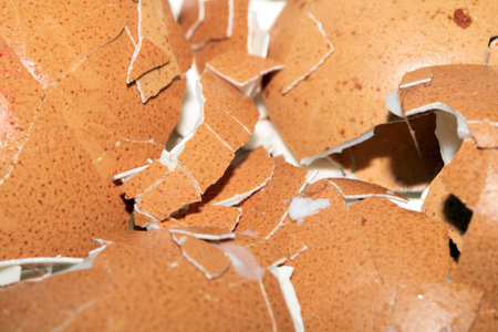 Close Up of a Cracked Peeled Shell Broken Egg on White Background