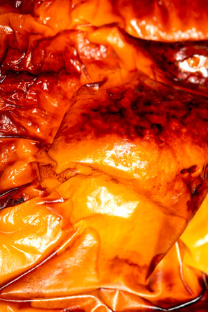 Close up of a Roasted Skin of Vegetable Pepper Abstract Roast Crispy and Juicy Backgroundの写真素材