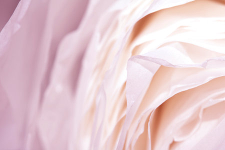 Torn Paper Layers Delicate Abstract Gentle Petal Texture Backgroundの写真素材