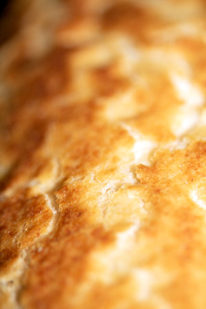 Close Up of Fresh Baked Golden Bread Crusty Tiger Baguette Rollの写真素材