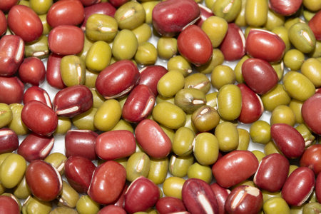 A Close Up of Dried Mixed Beans and Pulses on a White Backgroundの写真素材