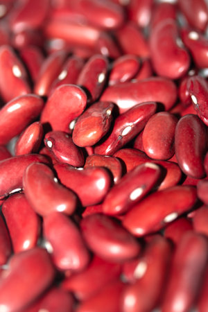 Close Up of Dried Beans Red Kidney on a White Backgroundの写真素材