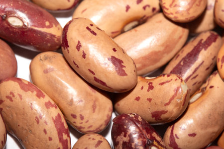 Close Up of Dried Beans Pinto on a White Background