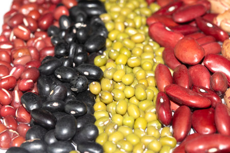 A Close Up of Dried Mixed Beans and Pulses in Lines on a White Background