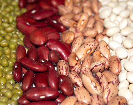 A Close Up of Dried Mixed Beans and Pulses in Lines on a White Background