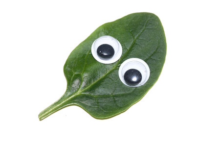 Close up of a spinach leaf with boggly funny cartoon eyes character