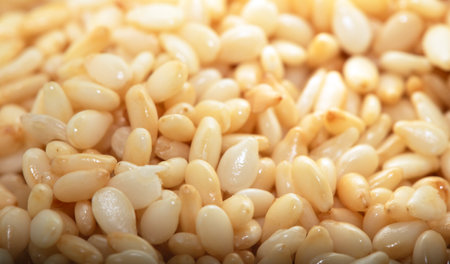 Macro Closeup of sesame seeds pile backgroundの写真素材