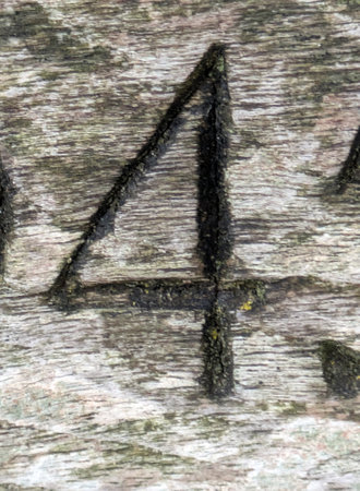 Written Wording in Distressed State Typography Number 4