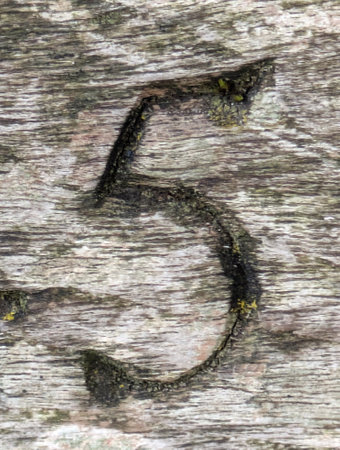 Written Wording in Distressed State Typography Found Number 5の写真素材