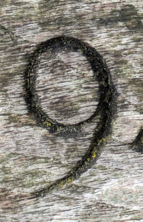 Written Wording in Distressed State Typography Number 9