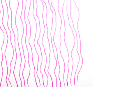 Simple pink red pen ink wavy scribble lines on a white backgroundの写真素材
