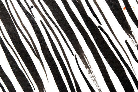 Thick Ink Pen Black Lines on White Background Zebra Skin Barcode Shapesの写真素材