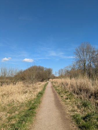 A countryside walk with path in nature at the moors in England on a beautiful sunny blue sky dayの写真素材