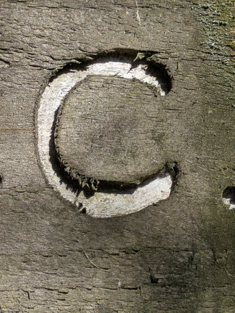 Written Wording in Distressed State Typography Foundの写真素材