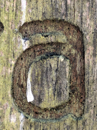 Written Wording in Distressed State Typography Found Ransom Letterの写真素材