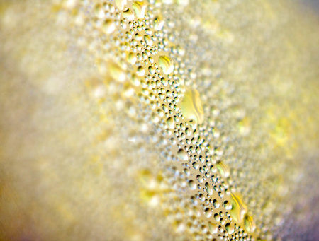 Water Condensation Small Bubbles Moisture on a Glass Window Close up Abstract Backgroundの写真素材