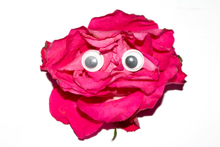 Close up of a floral flower with silly boggly funny cartoon eyes character