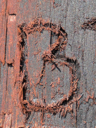 Written Wording in Distressed State Typography Found Ransom Letter Bの写真素材