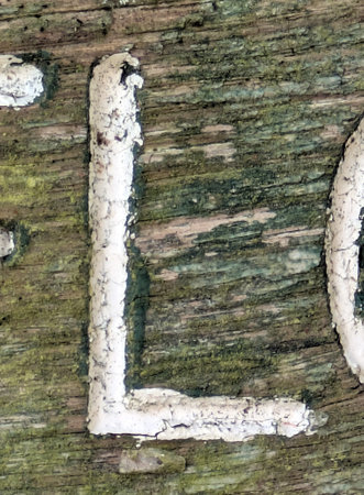 Written Wording in Distressed State Typography Found Font Letter Lの写真素材