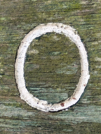 Written Wording in Distressed State Typography Found Number 0 Font Letter Oの写真素材