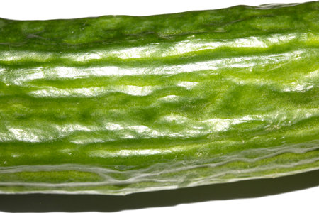Close up of home grown cucumber vegetable skin green on white backgroundの写真素材
