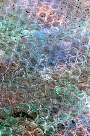 Absract background of shiny plastic and bubbles dreating bright sci-fi style texture backgroundの写真素材