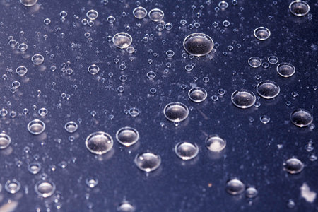 Absract Oil Bubble on a Clear Background