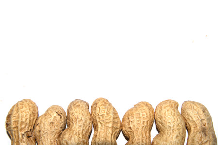 Shelled monkey nuts on white background peanuts