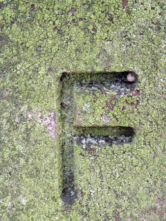 Written Wording in Distressed State Typography Found Ransom Letter Fの写真素材