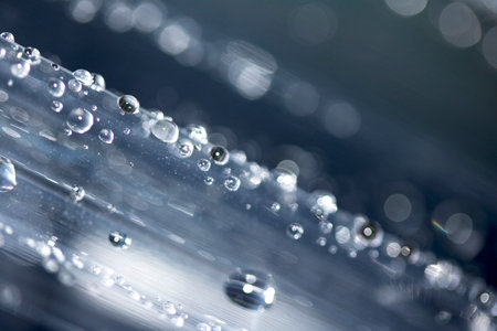 Close up of abstract floating bubbles water droplets condensation rain on a glass transparent bokeh...