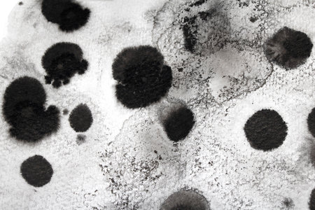 Black and white ink pencil background with abstract lines and swirls and splatters creative monochromeの写真素材