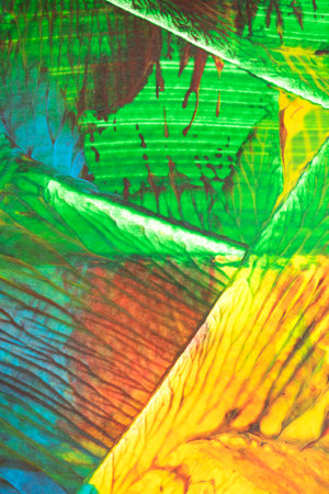 Thick vibrant abstract paint texture with lines splattersの写真素材