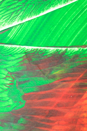 Thick vibrant abstract acrylic paint texture with lines splattersの写真素材