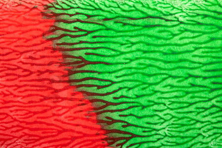 Thick vibrant abstract acrylic paint texture with lines splattersの写真素材