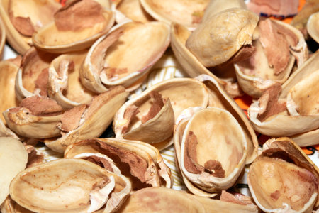Close up of empty pistachio shells nuts