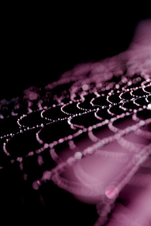 Spooky spiderweb spider web with water droplets close up backgroundの写真素材