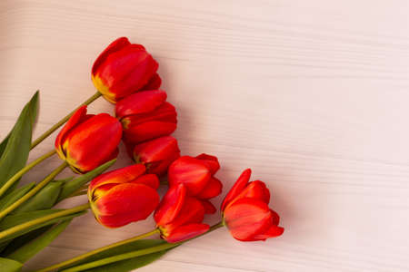 Beautiful red tulips on a white background with space for text, top view, flat lay, spring flowers, Bouquet of red tulips on a wooden background, Mother's Day and Valentine's Day background, red tulips on a wooden background, a bouquet of red tulips on a white wooden background, Day mothers and valentines, march dayの写真素材