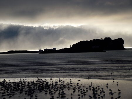 silhouette of whaler island 