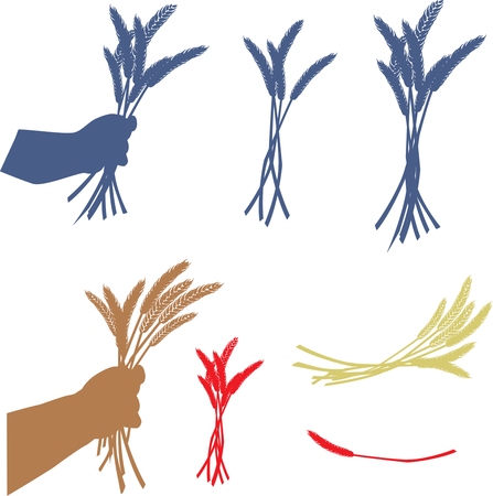 ears of wheat in handsのイラスト素材