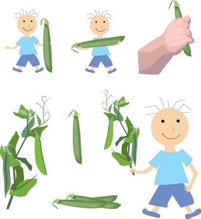boy holding a pea, objects on white backgroundのイラスト素材