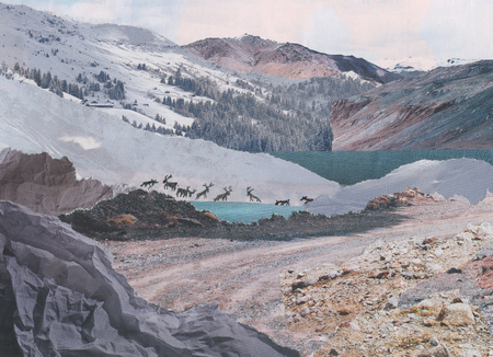 deer in the mountains, Christmas winterの写真素材