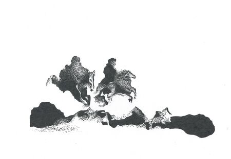 the horses fly in the sky, horses galloping above the groundの写真素材