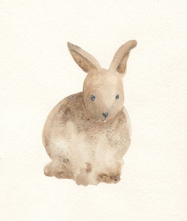 bunny rabbit, watercolor drawing, easter bunny illustrationの写真素材
