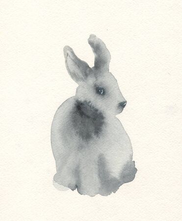 bunny rabbit, watercolor drawing, easter bunny illustrationの写真素材