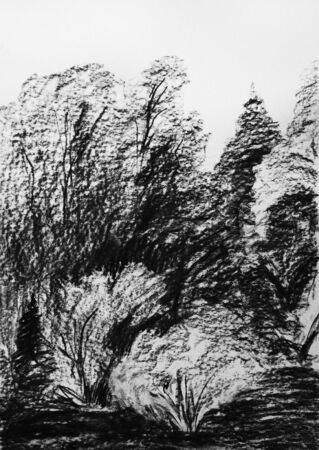 forest pencil drawing, black and white sketch graphic illustrationの写真素材
