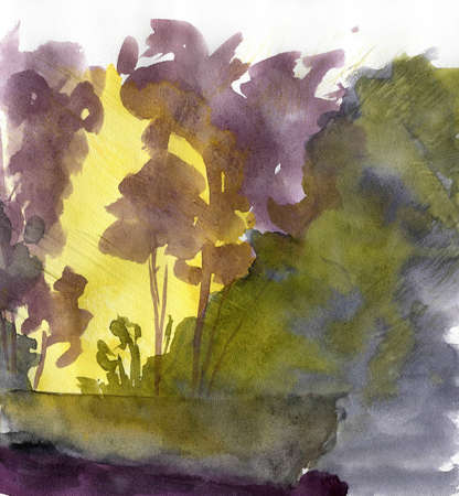 sun in the forest through the trees, watercolorの写真素材