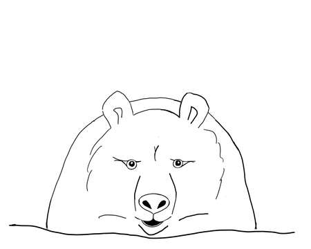 black and white isolated bear cartoon line illustrationの写真素材